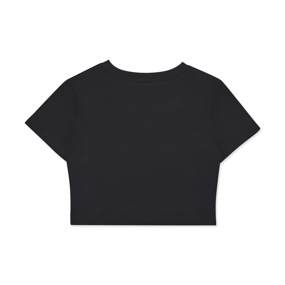 Fitted Crop  T-Shirt