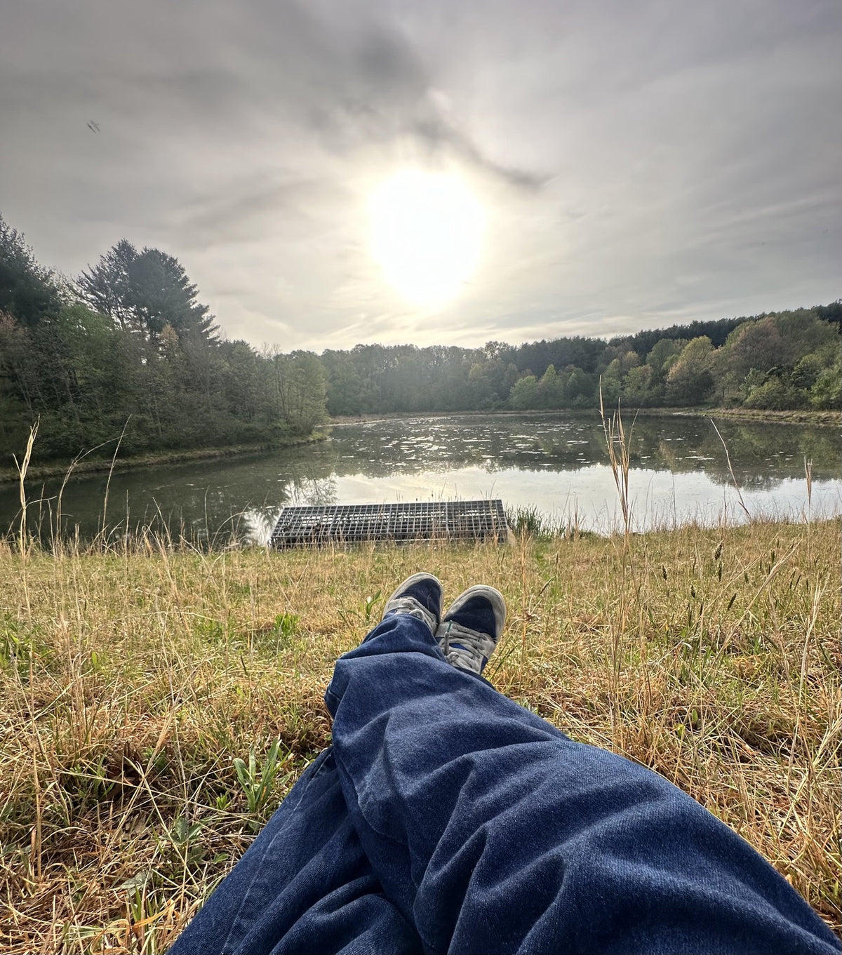 Relaxed view looking toward a sunlit lake