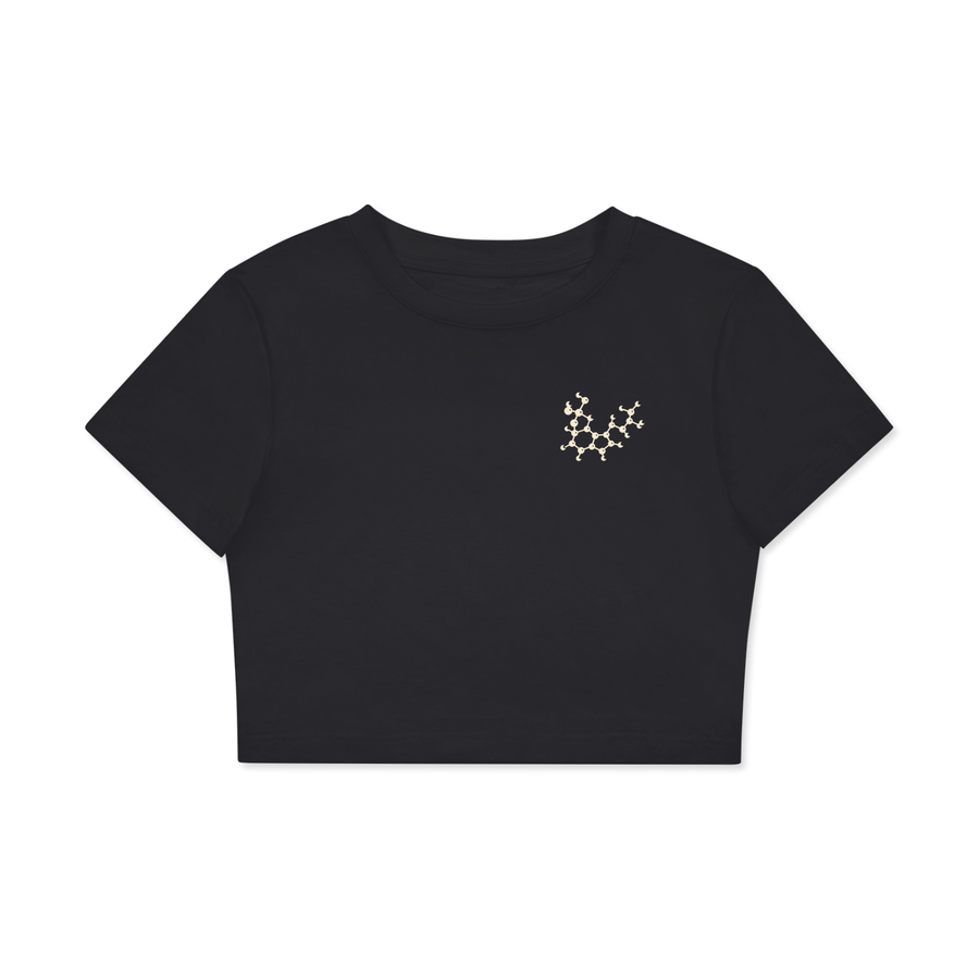 Fitted Crop  T-Shirt
